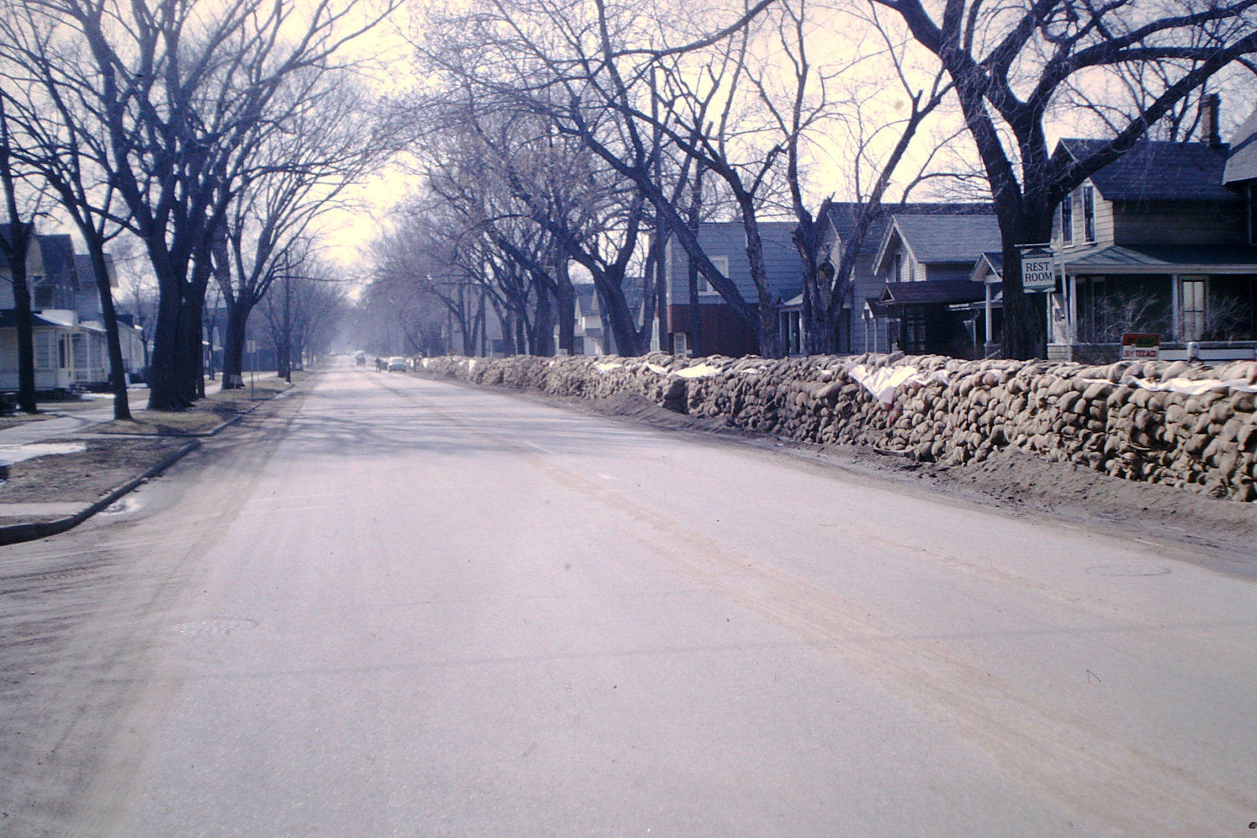 Pieces of the Past - 1965 Flood